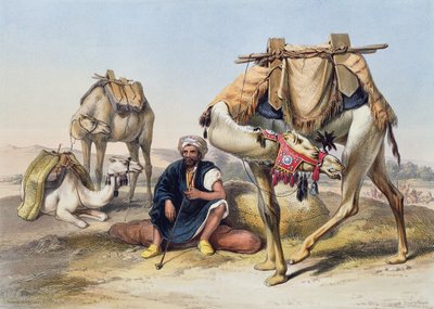 Camels Resting in the Sherkiyeh, Land of Goshen, illustration from 